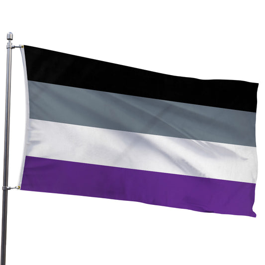 Asexual Flag 3x5ft
