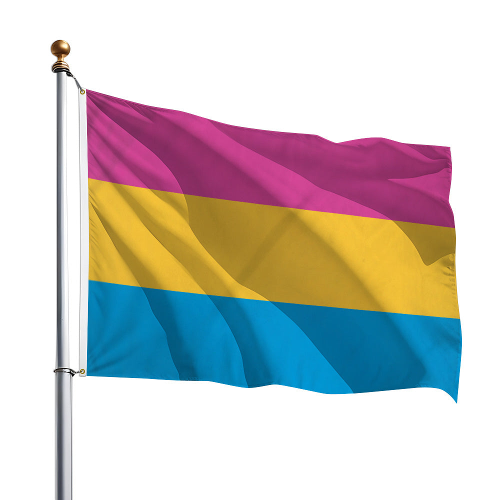 Pansexual Flag 2x3ft