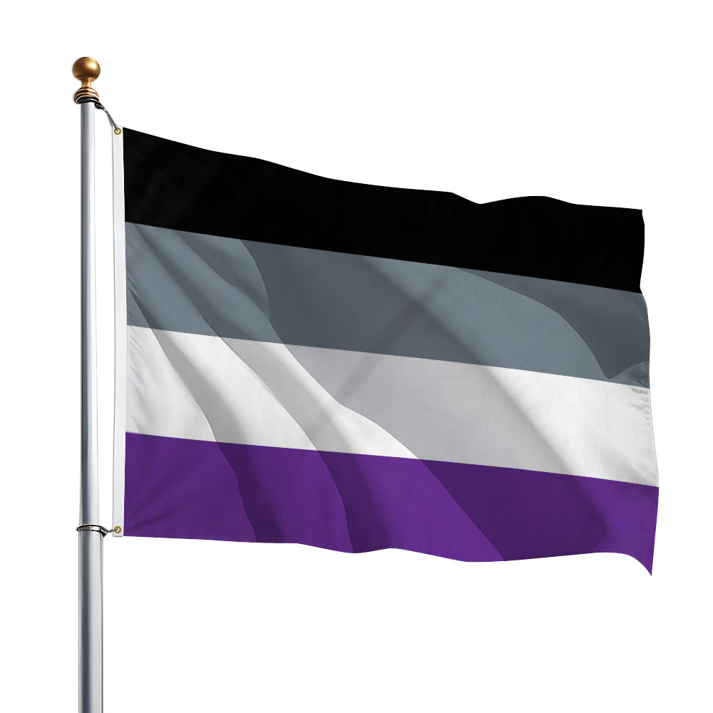Asexual Flag 2x3ft