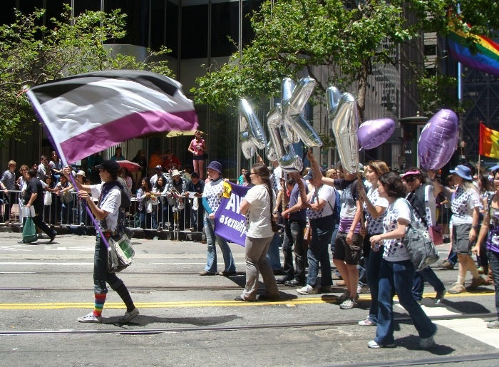 Asexual Flag 3x5ft on Pole at Parade