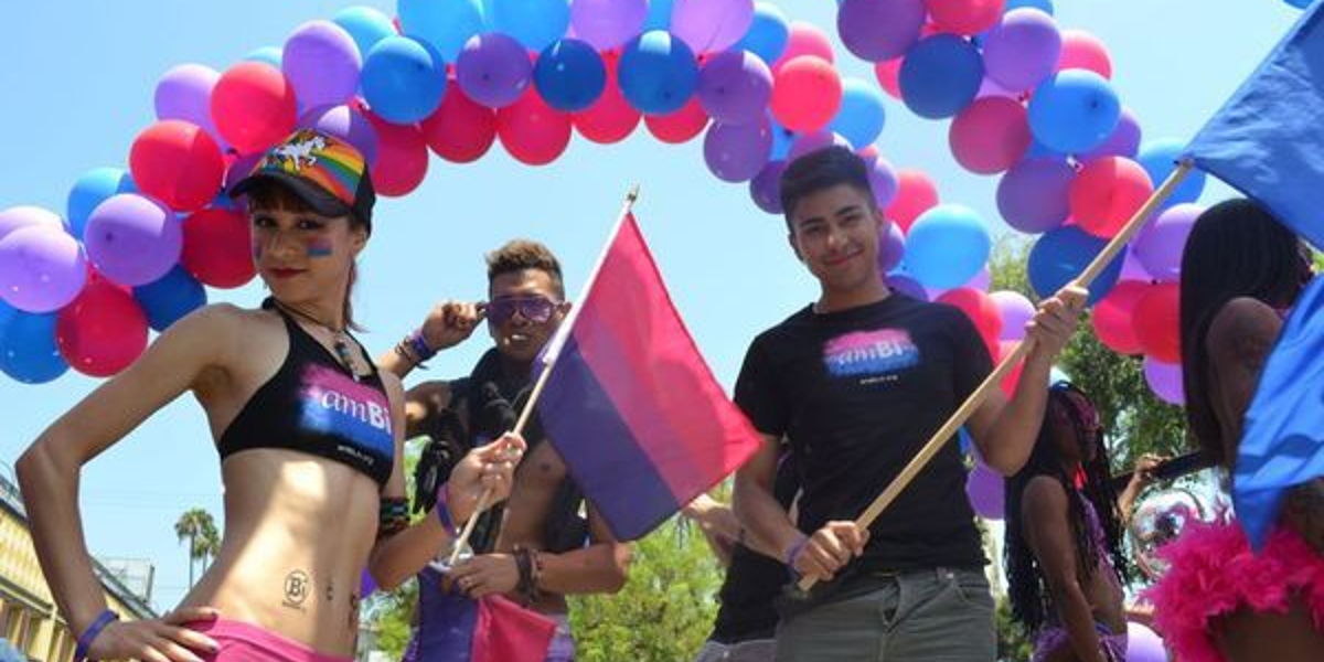 Group of People Holding Bisexual Stick Flags at Outdoor Event
