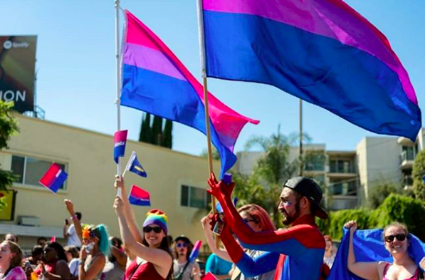 Bisexual Flag 3x5ft on Pole at Parade