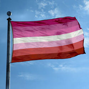 Lesbian Pink Flag 3x5ft on pole