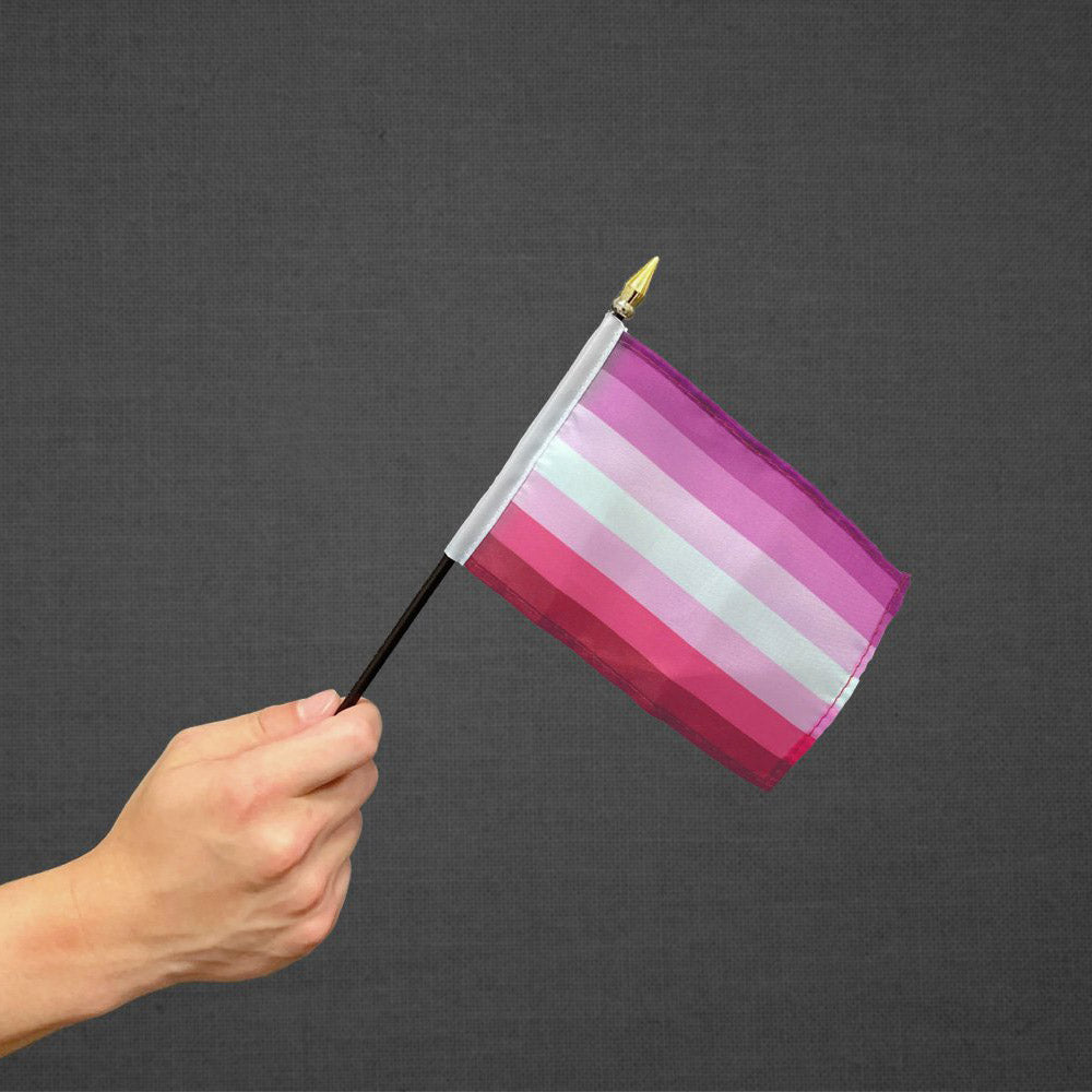 Lesbian Pink Stick Flag 4x6in
