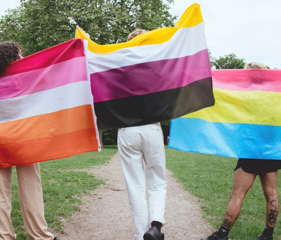 Pansexual Flag 2x3ft