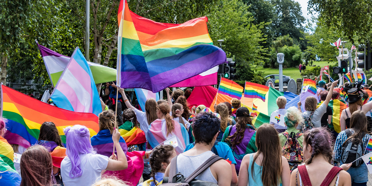 Rainbow (6 Stripe) Flag 3x5ft, Rad Pride