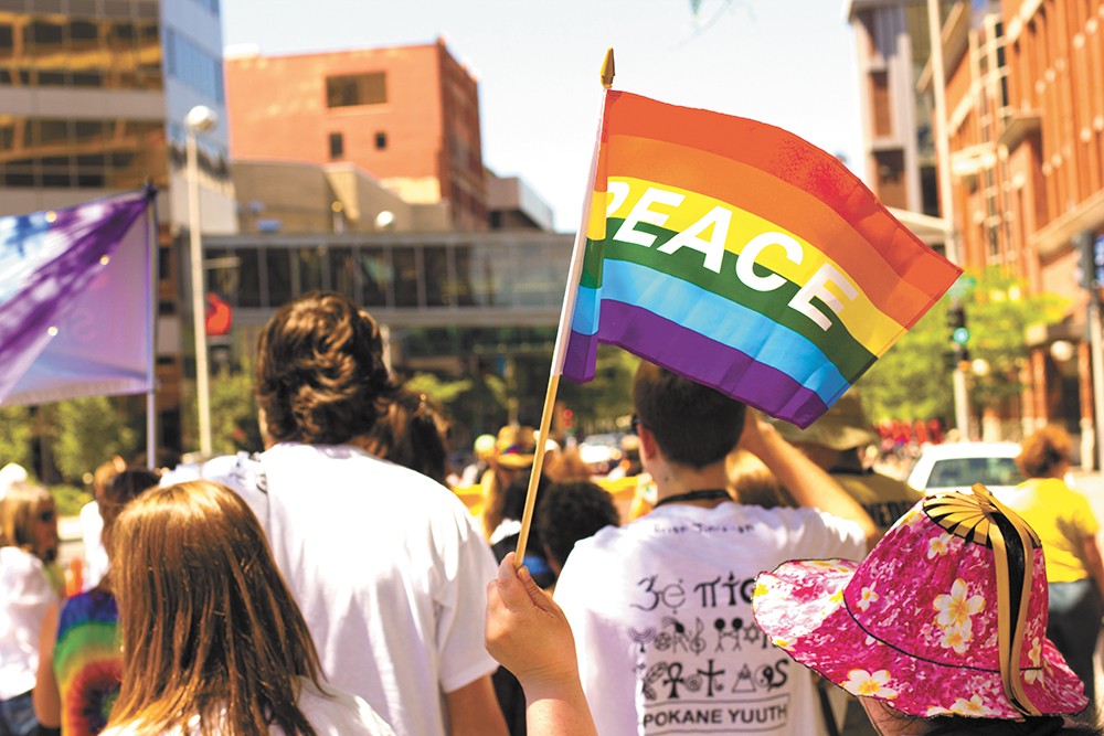 Rainbow Peace Stick Flag 12x18in