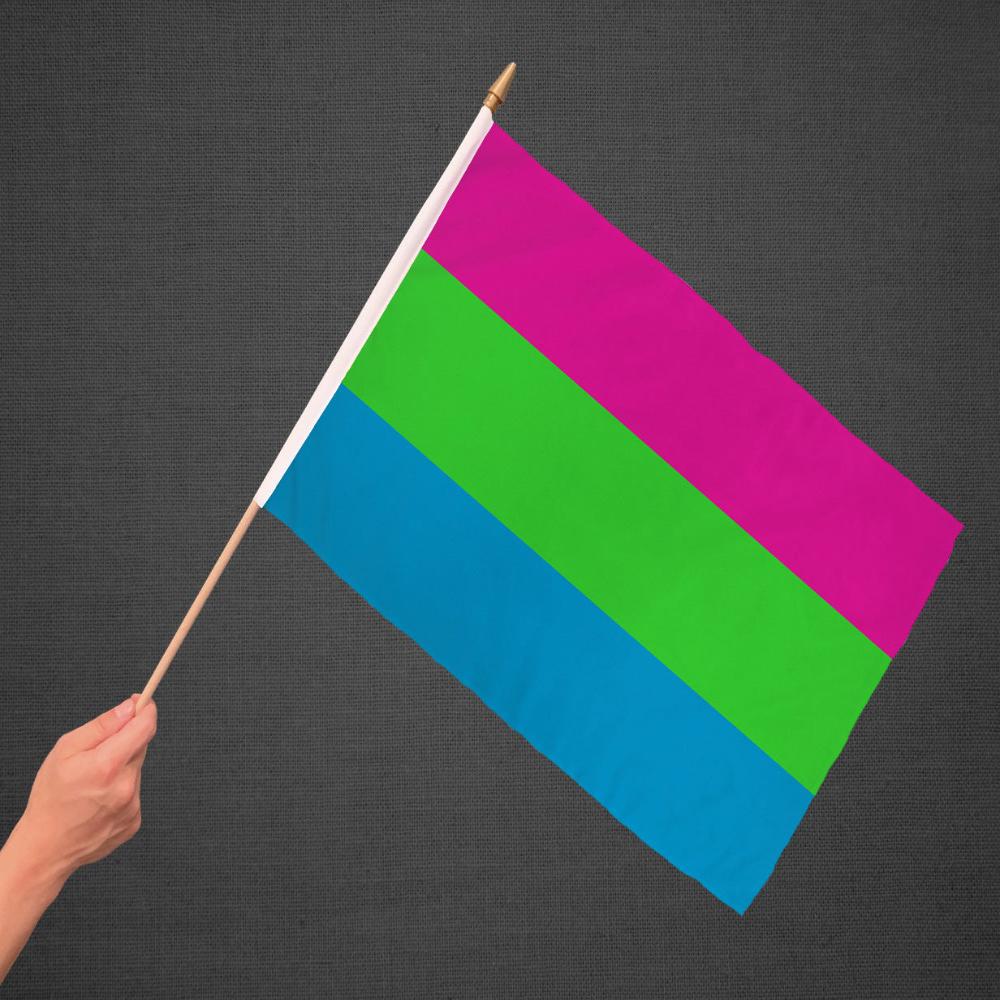 Polysexual Stick Flag 12x18in