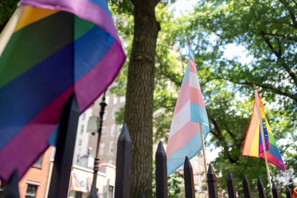 Transgender Stick Flag 12x18in Displayed on Fence