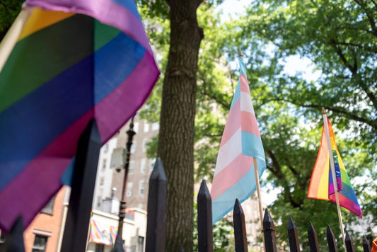 Transgender Stick Flag 12x18in Displayed on Fence