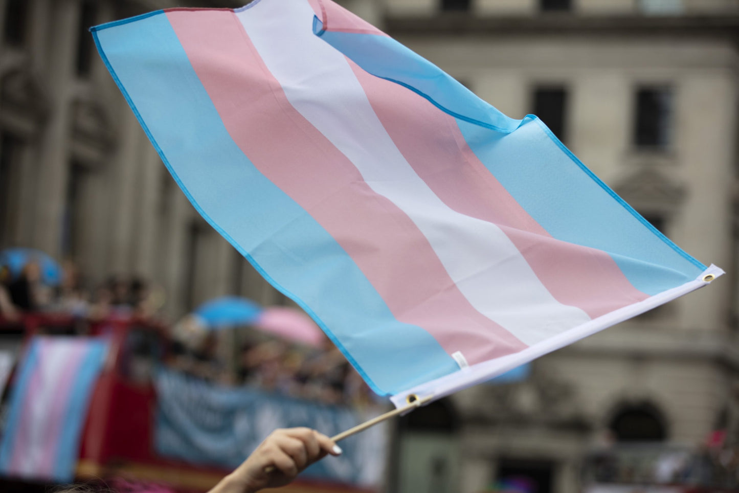 Transgender Flag 2x3ft on Pole at Parade