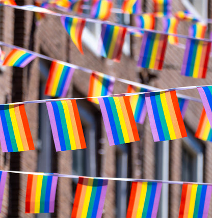 30ft String Flag Set of 20 Rainbow Flags