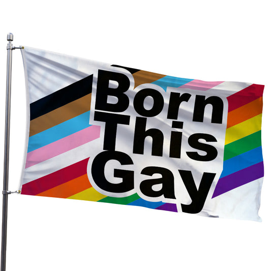 Born This Gay Flag 3x5ft