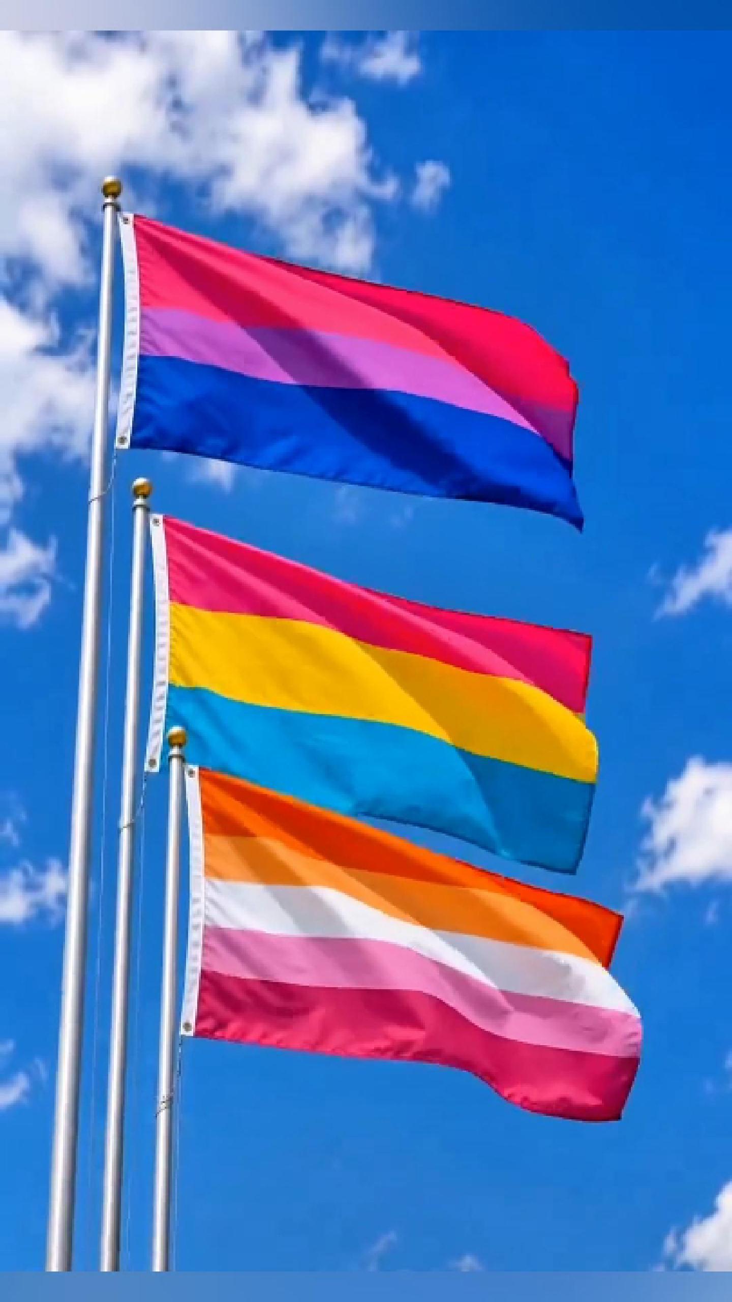 💜 IDENTITY SPECTRUM PACK (Bi + Pan + Lesbian)