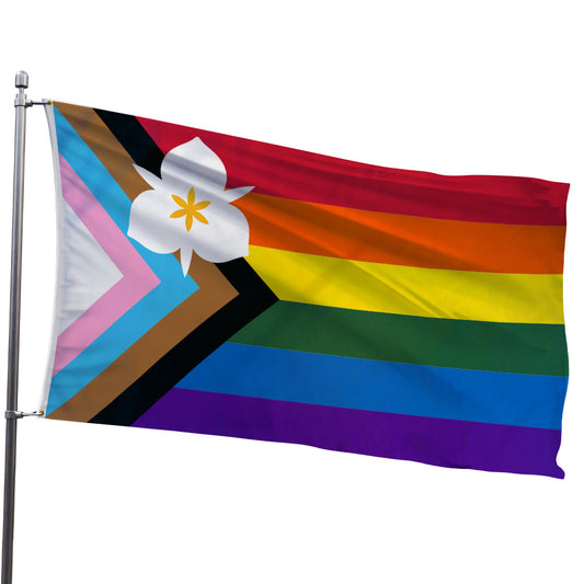 Progress Rainbow (SLC) Flag 3x5ft