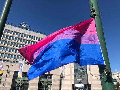 Bisexual Flag 2x3ft