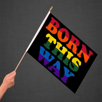 Born This Way Stick Flag 12x18in