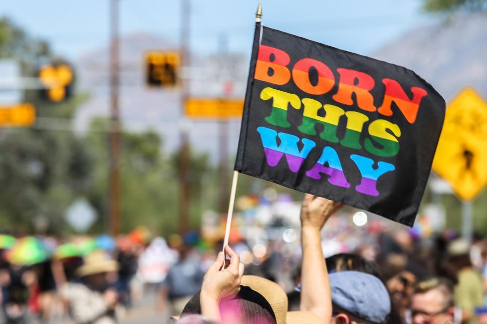 Born This Way Stick Flag Held Up at Parade