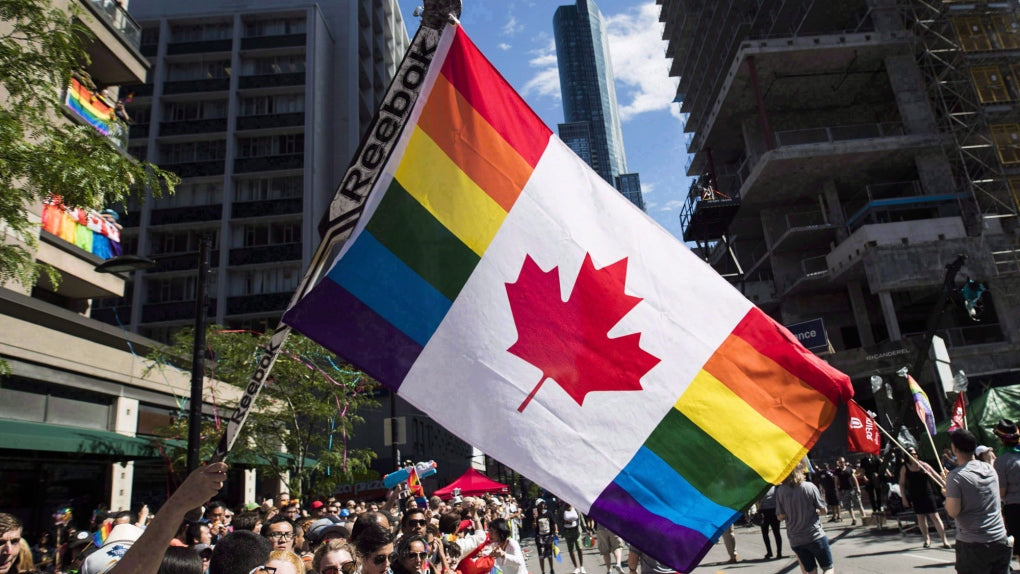 Canada Rainbow Flag 3x5ft on Pole at Parade