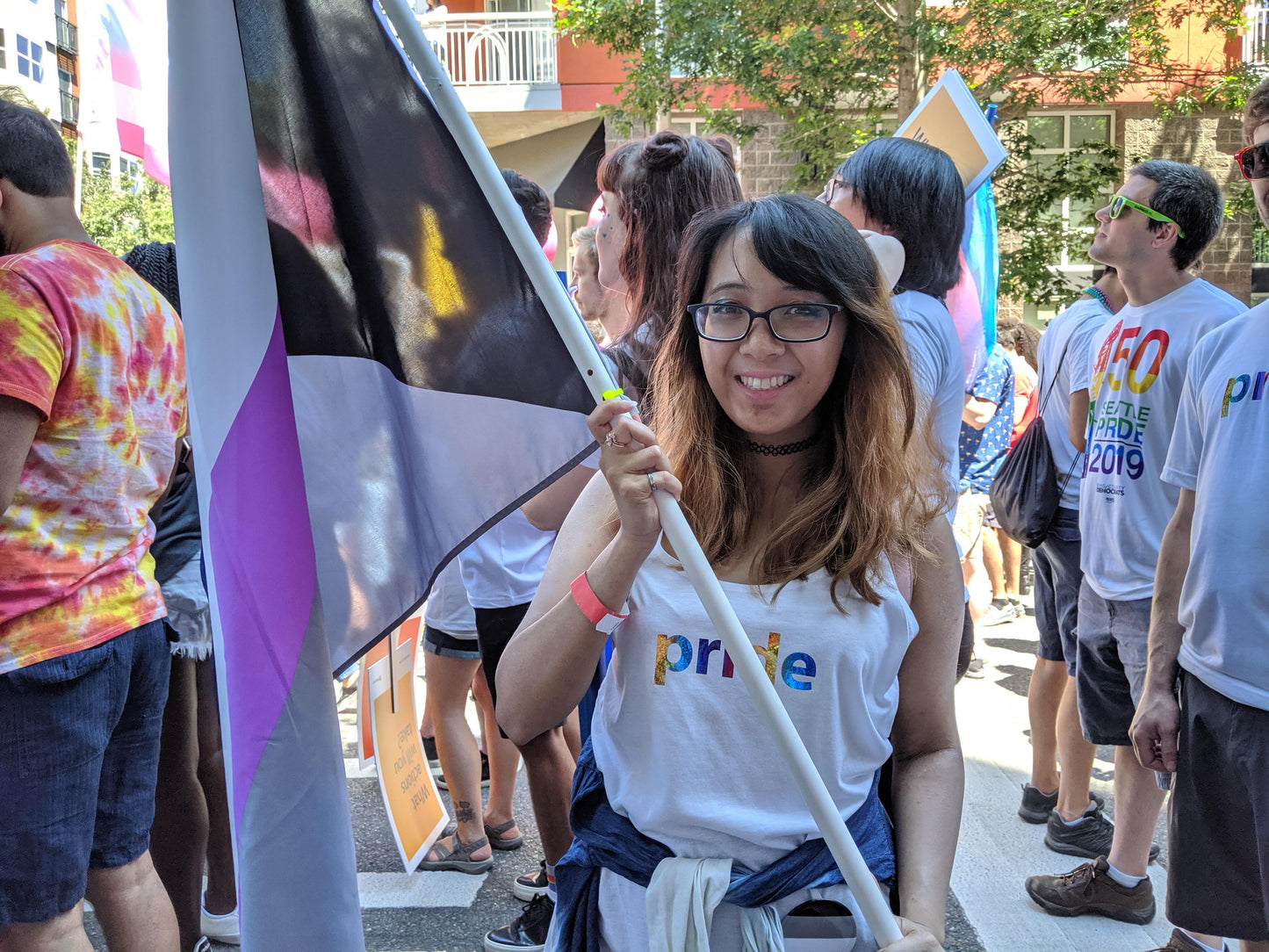 Demisexual Flag 3x5ft displayed at Parade