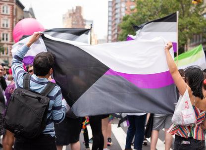 Demisexual Flag 3x5ft on Pole