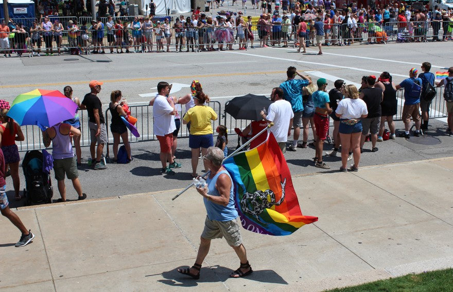 Don't Tread on Me (Gadsden) Rainbow Flag 3x5ft on Pole at Parade