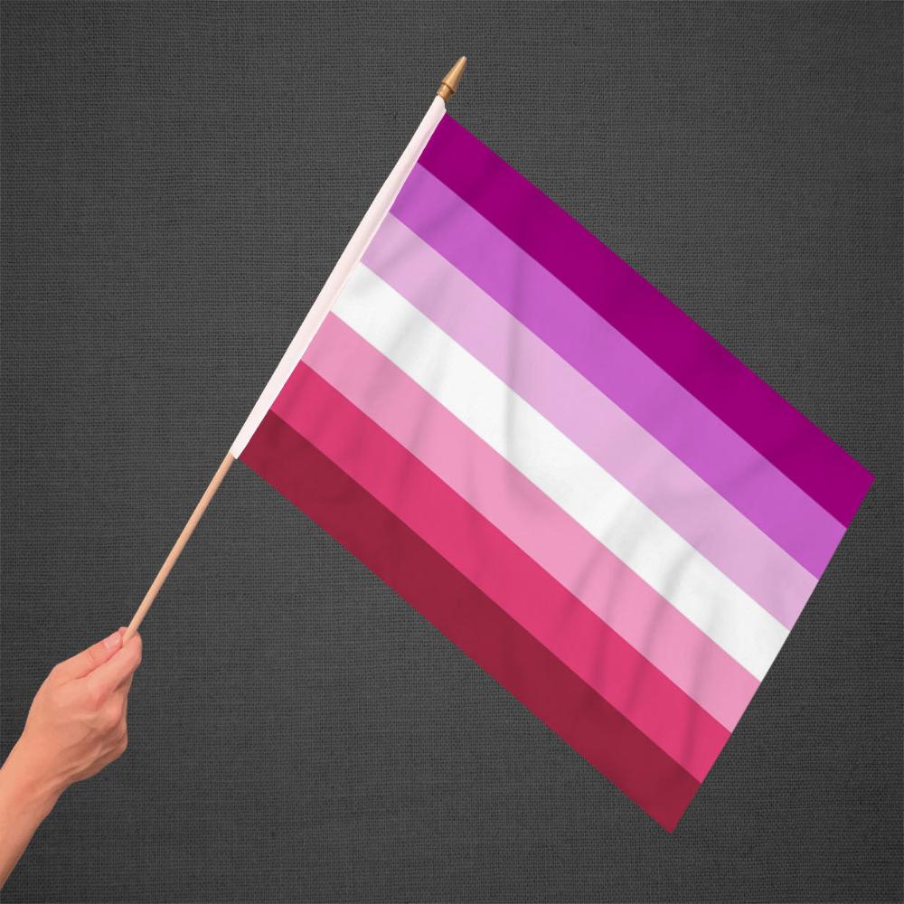 Lesbian Pink Stick Flag 12x18in