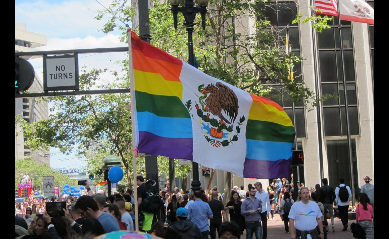 Mexico Rainbow Flag 3x5ft on Pole at Parade