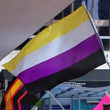 Non-Binary Flag 3x5ft on Pole