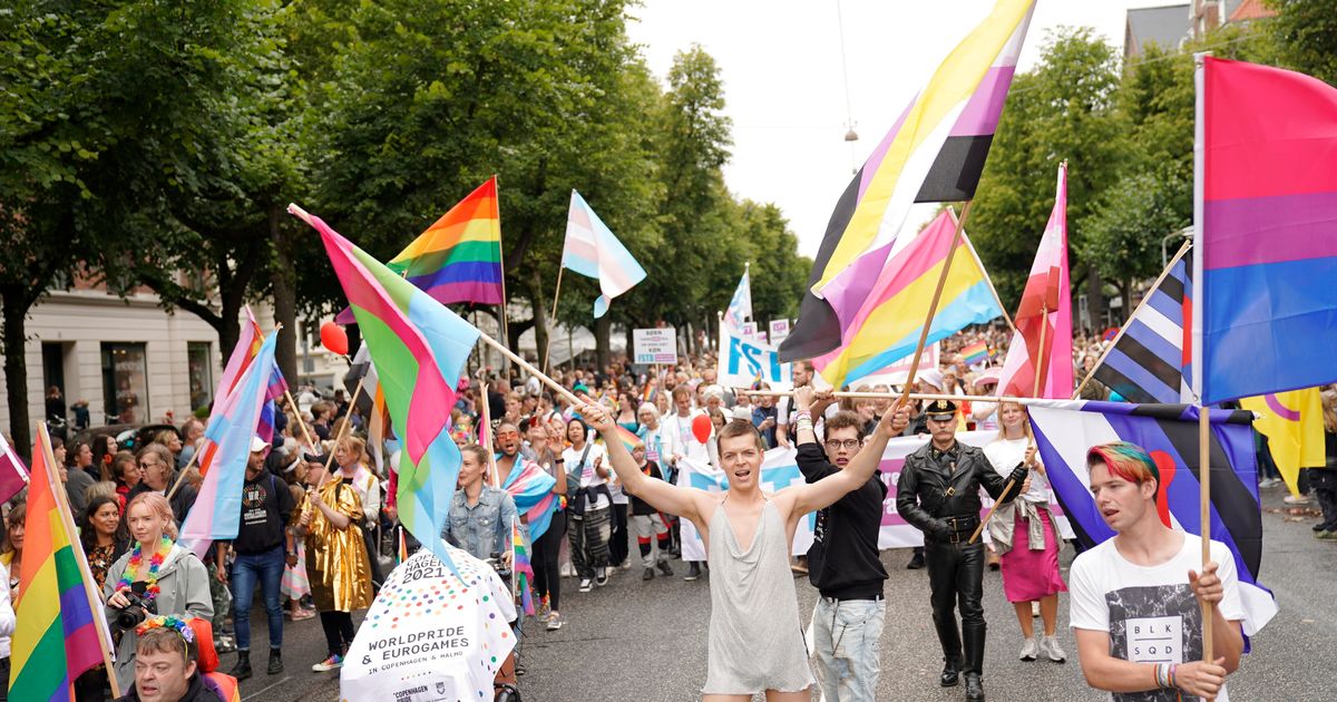 Non-Binary Flag 3x5ft on Pole at Parade