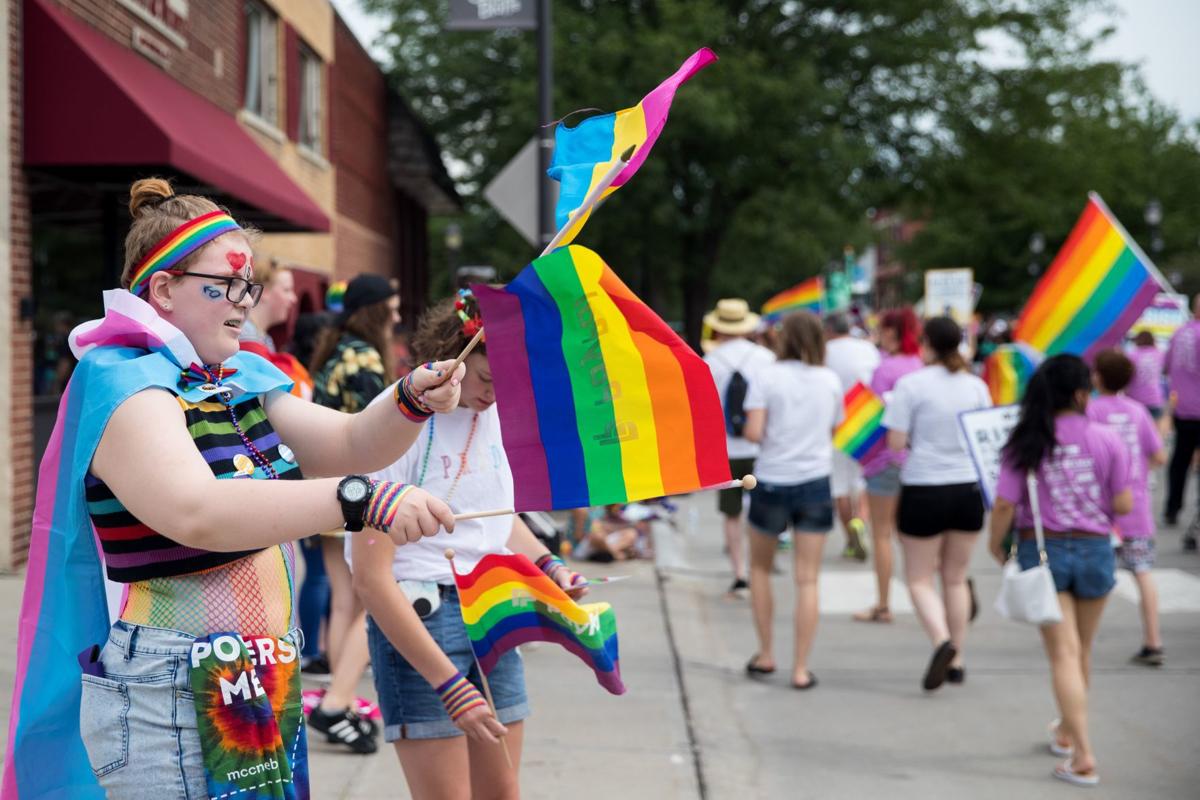 Pansexual Stick Flag 12x18in Held by Girl at Parade