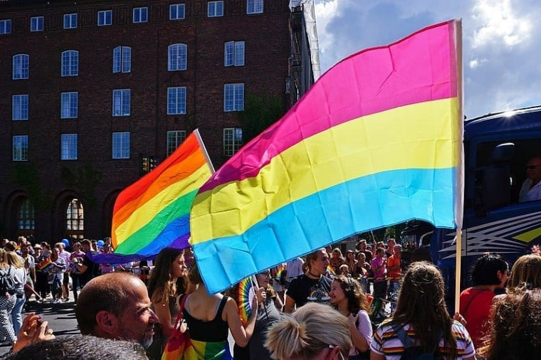 Pansexual Flag 3x5ft on Pole At Parade