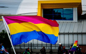 Pansexual Flag 3x5ft on Pole At Parade