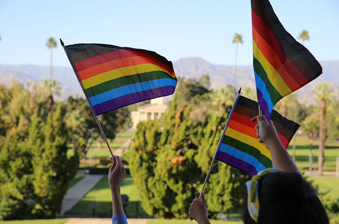 Multiple Philly Rainbow Stick Flags at Parade