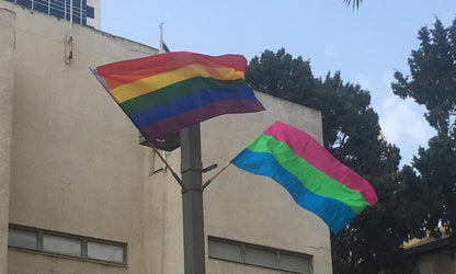 Polysexual Flag 3x5ft on Pole Outdoors