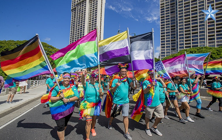 Polysexual Flag 3x5ft on Pole at Parade