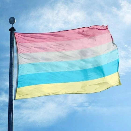 Genderflux Flag 3x5ft | Rad Pride | You Shop We Donate