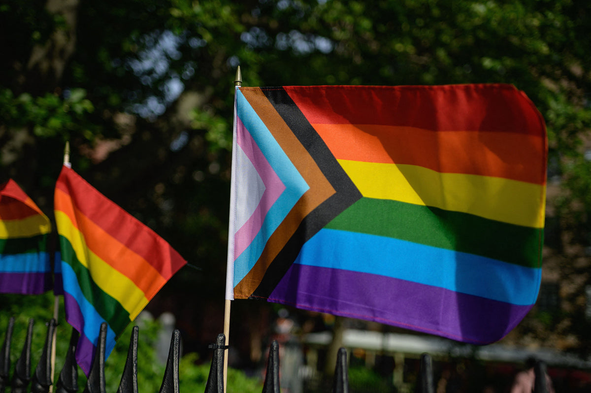 Progress Rad Flag Progress Rainbow Stick Flag 12x18in | Rad Pride | You Shop We Donate