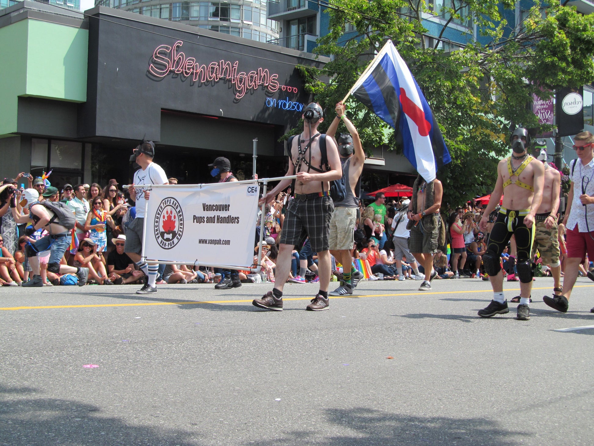 Puppy Pride Flag 3x5ft on Pole at Parade