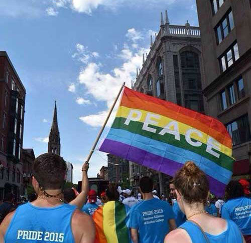 Rainbow Peace Flag 3x5ft on Pole at Parade