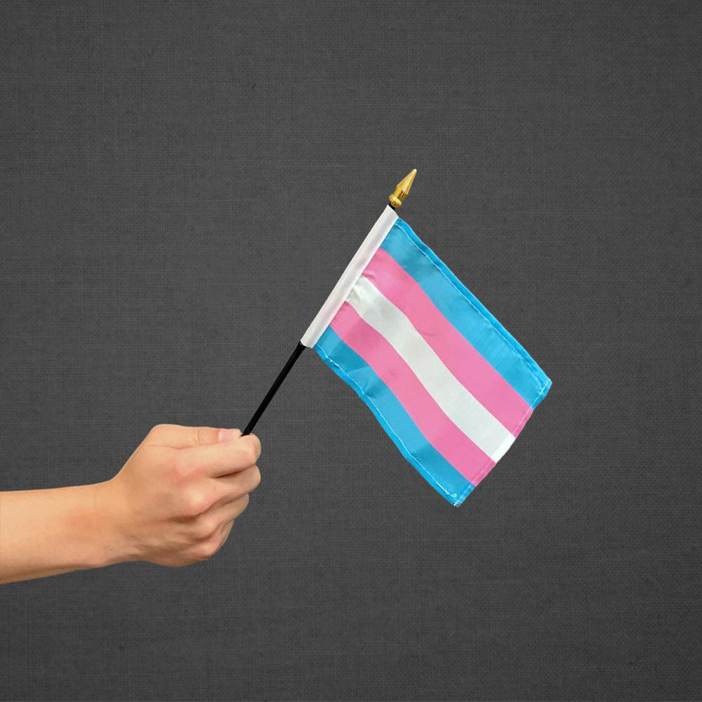 Transgender Stick Flag 4x6in | Rad Pride | You Shop We Donate