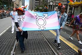 Transgender Symbol Flag 3x5ft on Display at Parade