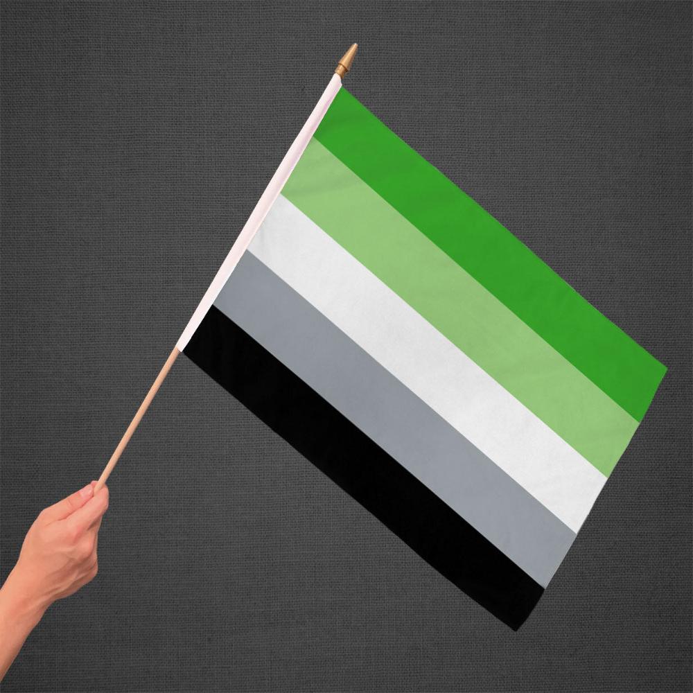 Aromantic Stick Flag 12x18in