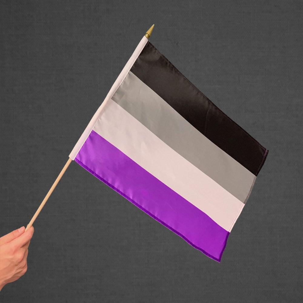 Asexual Stick Flag 12x18in