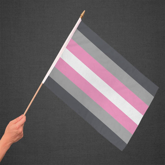 Demigirl Stick Flag 12x18in