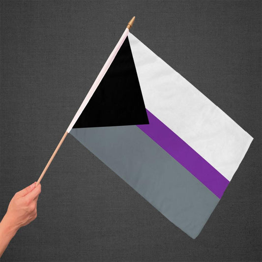 Demisexual Stick Flag 12x18in