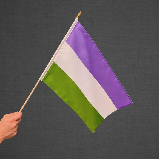 Genderqueer Stick Flag 12x18in