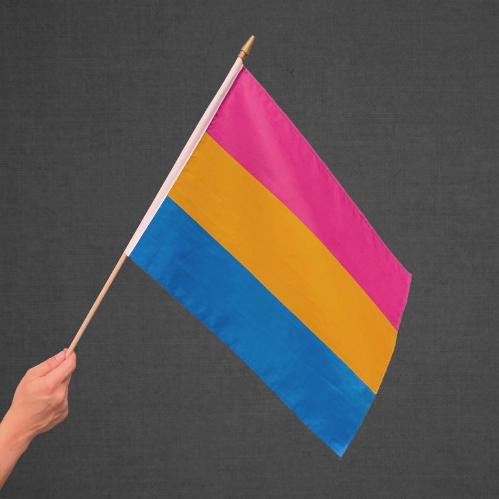 Pansexual Stick Flag 12x18in