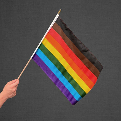 Philly Rainbow Stick Flag 12x18in