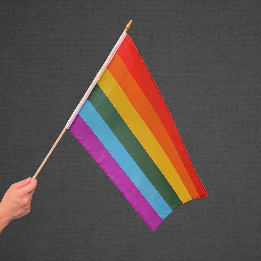 Rainbow (6 Stripe) Stick Flag 12x18in